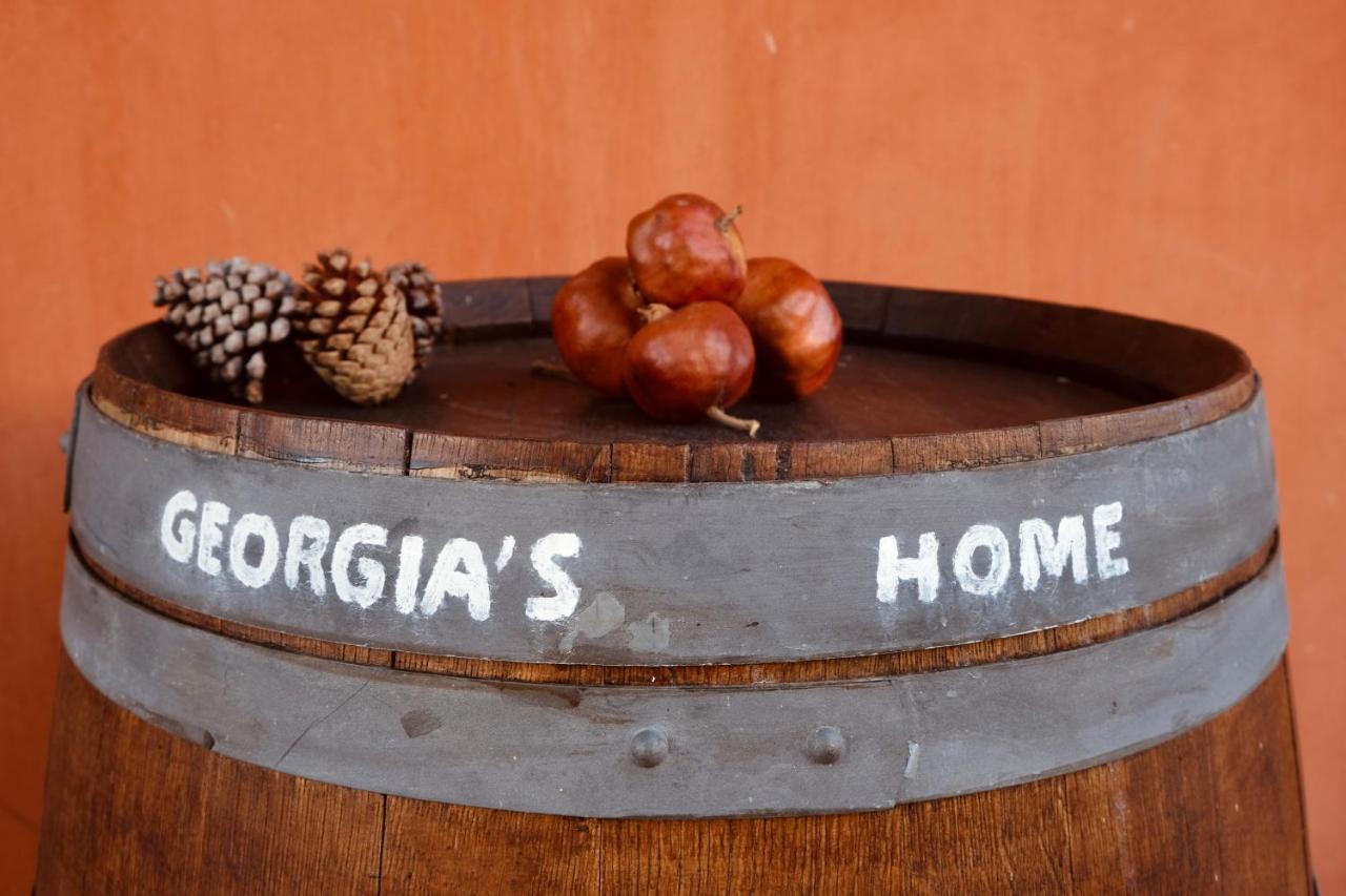 Georgia'S Home Monte Lopio المظهر الخارجي الصورة